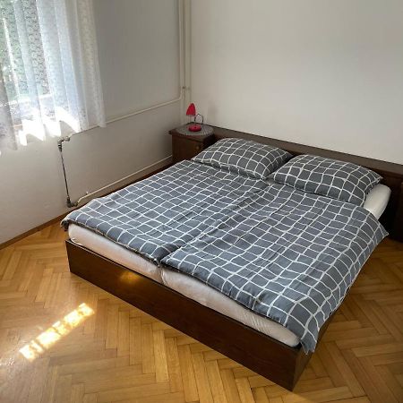 Iva Apartments Novigrad Istria Eksteriør bilde