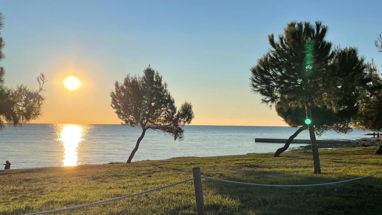 Iva Apartments Novigrad Istria Eksteriør bilde