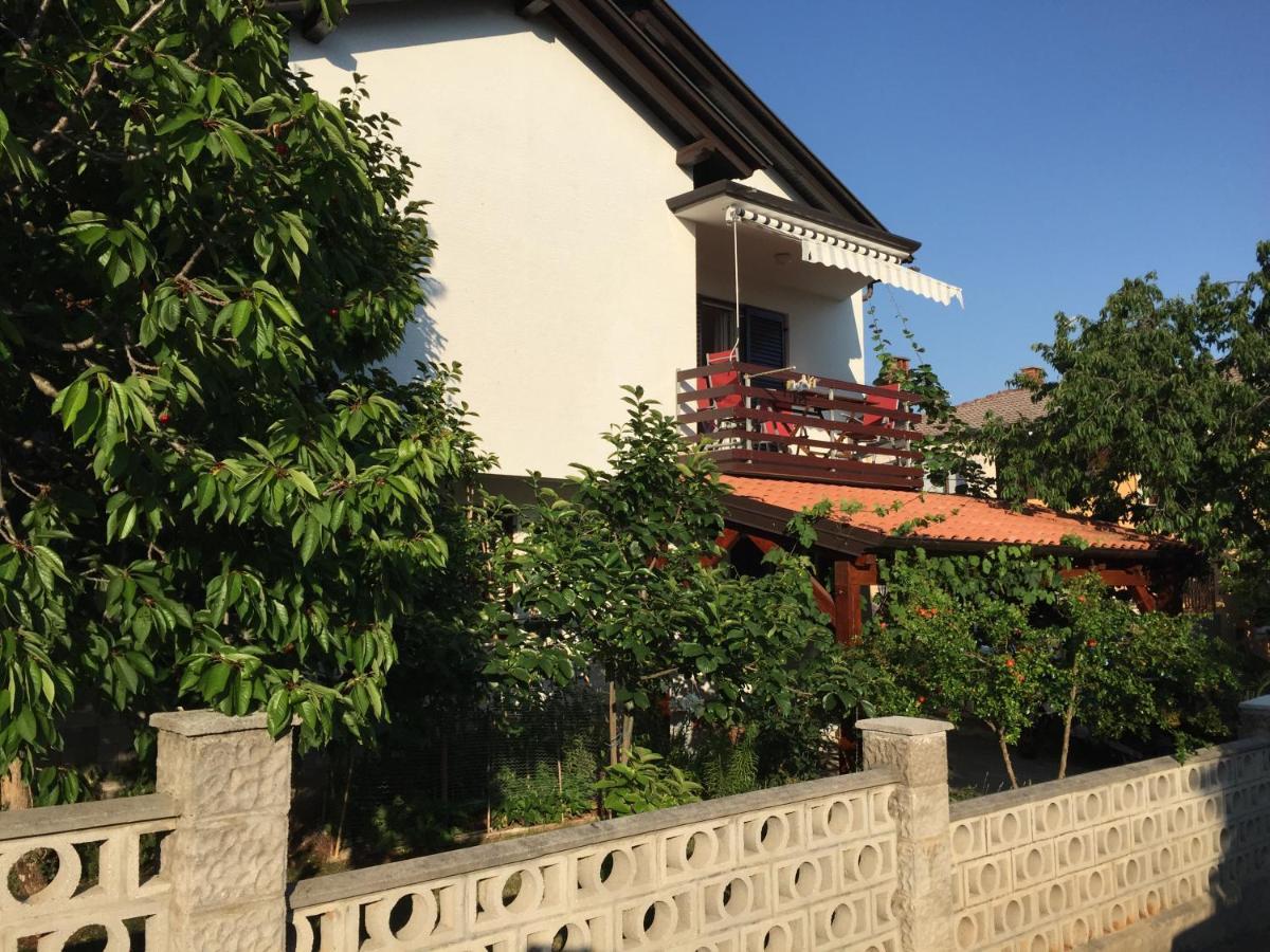 Iva Apartments Novigrad Istria Eksteriør bilde